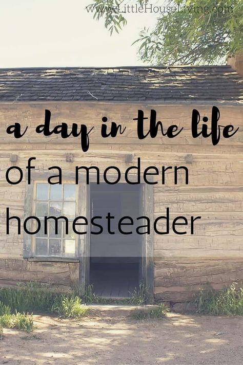 Modern Homesteading, Homesteading Skills, Growing Veggies, Homestead Living, Rv Living Full Time, Mini Farm, Full Time Rv, Chicken House, Grow Your Own Food