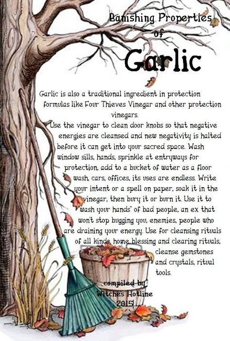 Banishing properties of Garlic Magical Properties Of Garlic, Witchcraft Ingredients, Baneful Herbs, Witchy Potions, Four Thieves Vinegar, Medicinal Cooking, Aura Spiritual, Spell Ingredients, Magical Correspondences