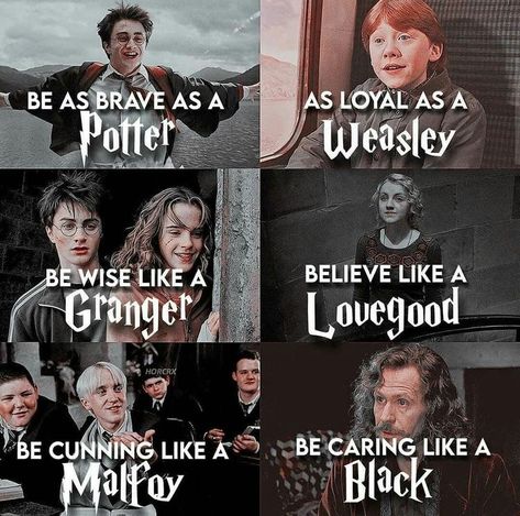 Citate Harry Potter, Harry Potter Parody, Glume Harry Potter, Funny Harry Potter Jokes, Potter Head, Potter Quotes, Harry Potter Feels, Harry Potter Puns, Buku Harry Potter