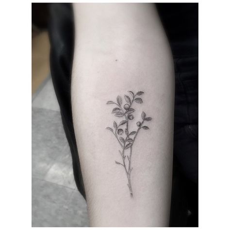 Little Huckleberry Arm tattoo Huckleberry Tattoo, Indie Tattoo, Dr Woo, Branch Tattoo, Daisy Tattoo, Best Tattoo Ideas, Blue Tattoo, Aesthetic Tattoo, Sister Tattoos