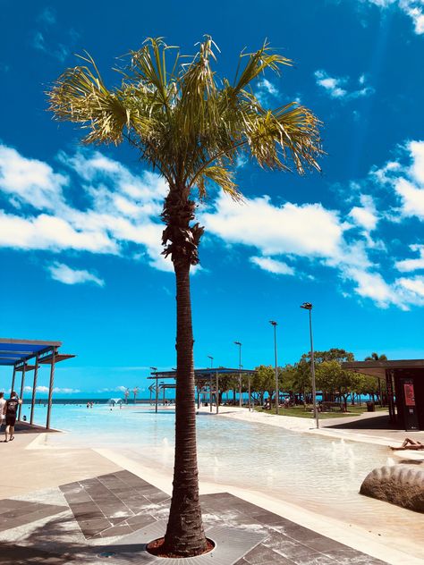 Sun soaked lagoon with blue water and palm tree Cairns Itinerary, Palm Cove Cairns, Cairns Esplanade, Crystal Cascades Cairns, Cairns Queensland, Cairns Australia, Cairns, Queensland, Wind Turbine