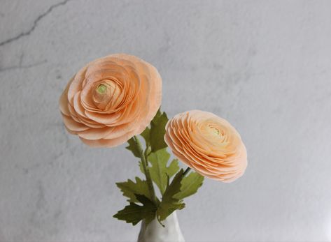 This is a detailed video tutorial of how to make realistic looking ranunculus flower by crepe paper Ranunculus Paper Flower, How To Make Crepe Paper Flowers Step By Step, Paper Ranunculus Tutorial, Crepe Paper Ranunculus, Paper Ranunculus, Paper Flowers Tutorial, Free Paper Flower Templates, Crepe Paper Flowers Tutorial, Flowers Paper Craft