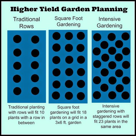 Greneaux Gardens: Small Space Vegetable Garden Techniques: Intensive Gardening Small Plot Garden Ideas, French Intensive Gardening Layout, Intercropping Vegetable Garden Layout, Intensive Planting Vegetable Garden, 10x10 Garden Layout, Compact Vegetable Garden, Intensive Gardening Layout, In Ground Garden Layout Ideas, Tiny Vegetable Garden