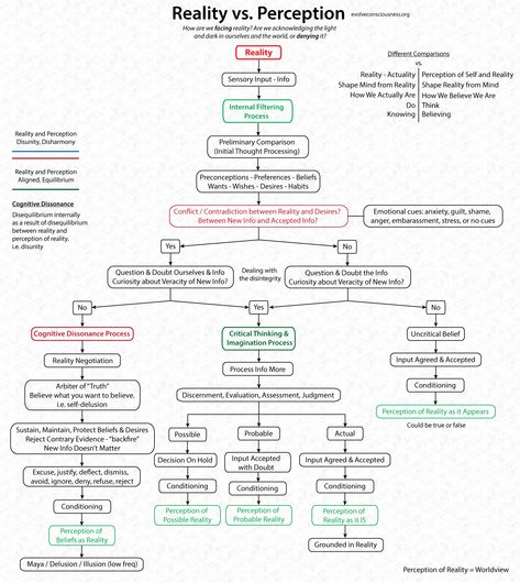 Sensation And Perception Psychology, Perception Psychology, Perception Vs Reality, Perception Reality, Philosophy Theories, Logic And Critical Thinking, School Of Philosophy, Psychology Notes, Philosophy Of Science