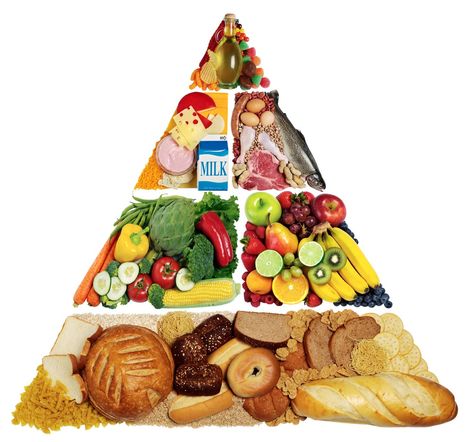 Paleo Food Pyramid, Vegetable Bread, Starchy Vegetables, Carbohydrates Food, Paleo Recipes Easy, Food Pyramid, Easy Paleo, Diet Vegetarian, Kids Diet