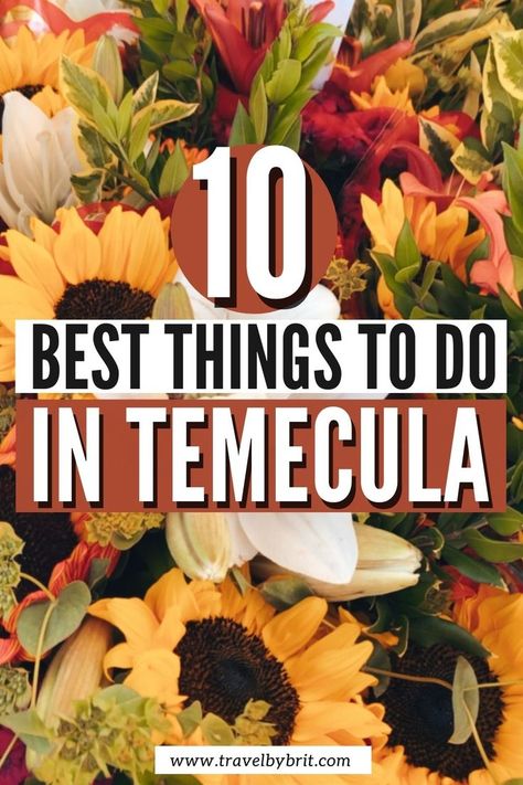 If your ideal girls' weekend involves wine tasting, great shopping, farmer's markets, delicious brunch, berry picking, and gorgeous scenery, look no further than Temecula, California! Use this guide to plan the perfect girls weekend in Temecula, CA. #girlsweekend #weekendtrip #temeculaca Brunch Places, Temecula California, Ideal Girl, Berry Picking, Gorgeous Scenery, Weekend Travel, The Perfect Girl, I Want To Travel, Girls Weekend