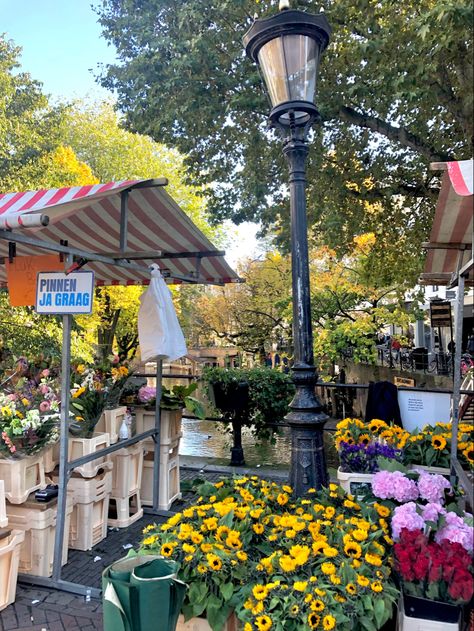 utrecht | flower shop | river Spring In The Netherlands, Utrecht Netherlands Aesthetic, Living In The Netherlands Aesthetic, Netherlands Aesthetic Summer, Summer In Netherlands, Netherland Aesthetic, Nicole Core Aesthetic, Netherlands Lifestyle, Utrecht Aesthetic