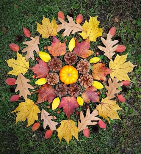 Landart Ideas, Natural Mandala, Fall Mandala, Autumn Mandala, Leaves Mandala, Nature Mandalas, Mandala Nature, Season Of Gratitude, Nature Mandala