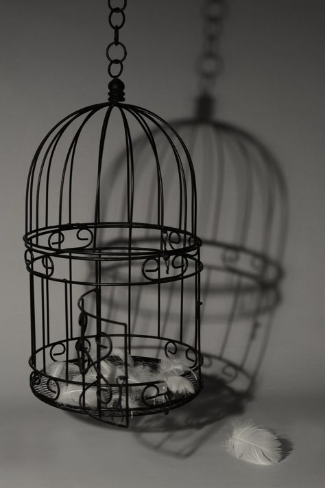 Bird Cage Photoshoot, Bird Cage Aesthetic Dark, Cage Aesthetic Dark, Bird In A Cage Aesthetic, Birdcage Aesthetic, Bird Cage Aesthetic, Johanna Barker, Cage Reference, Cage Aesthetic