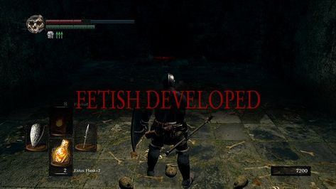 Dark Souls You Died, Estus Flask, Dark Souls Funny, Soul Messages, Soul Game, Text Memes, Humanity Restored, Meme Lord, Silly Pictures