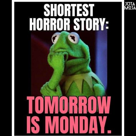 #monday #weekend #sunday #sundayfunday #funday #giftideas Funny Sunday Memes, Send To The Group Chat, Sunday Morning Humor, Funny Sunday, Cute Good Morning Pictures, Sunday Meme, Weekly Motivation, Funny Monday, Quotes Friday