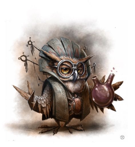 Owl Wizard, Illustrator Character, Owl Mask, Animal Illustration Art, Fantasy Sci Fi, Dungeons And Dragons Characters, Owl Art, Fantasy Rpg, Dnd Characters