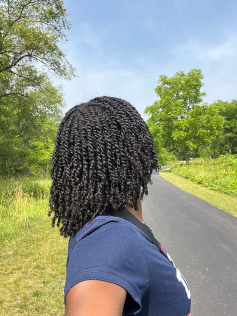 Twisted Natural Hair, Brown Twist Braids, Mini Twist Hairstyles, Protective Styles For Natural Hair Short, Mini Twists Natural Hair, Natural Hair Maintenance, Curly Braided Hairstyles, Sasha Obama, Hair Puff