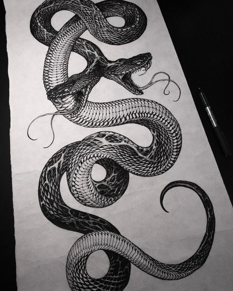 Pen on paper. 80 x 35 Two Head Snake, Snake Drawing, Snake Tattoo Design, Pen On Paper, Two Heads, Head Tattoos, Snake Tattoo, Drawing Tips, Back Tattoo