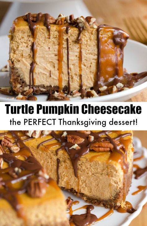 Spiced Cheesecake, Turtle Pumpkin, The Perfect Cheesecake, Thanksgiving Cheesecake, Perfect Cheesecake, Dessert Halloween, Pumpkin Spice Cheesecake, Dessert Parfait, Thanksgiving Desserts Easy