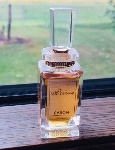 Best Carnation perfumes Caramel Carnation, Carnation Perfume, Carnation Jewelry, Caramel Cascade Perfume, Cartier Declaration Perfume, Wedding Reception At Home, Hot Spices, 50s Women, Perfume Lover