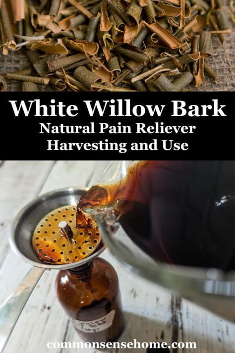 Home Apothecary, Tinctures Recipes, Best Cough Remedy, White Willow Bark, Herbal Remedies Recipes, Natural Pain Relievers, Nerve Pain Relief, White Willow, Natural Healing Remedies