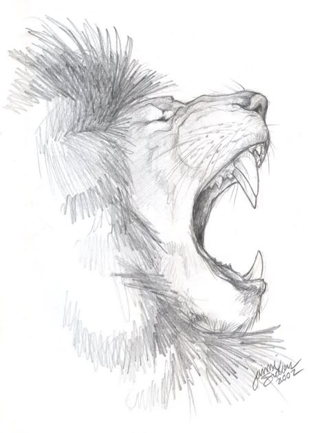 Lion Side Profile, Lion Sketch, Lion Drawing, Draw Animals, African Lion, Desenho Tattoo, Lion Art, Pencil Art Drawings, Animal Sketches