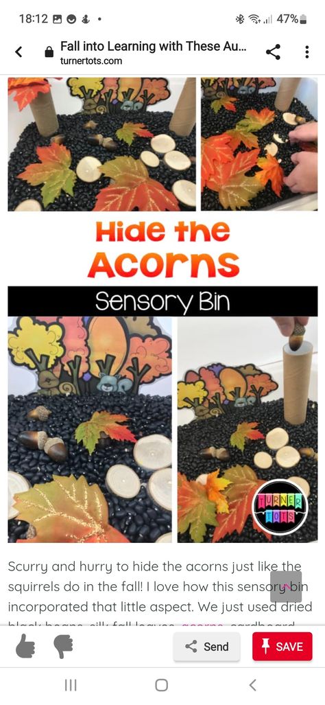 Dry Bean Sensory Bin, Acorn Sensory Bin, Squirrel Sensory Bin, 5 Senses Sensory Bin, Autumn Preschool Activities, Preschool Leaves, Turner Tots, Preschool November, Autumn Preschool