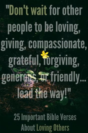 “Don’t wait for other people to be loving, giving, compassionate, grateful, forgiving, generous, or friendly… lead the way!” Check out 25 Important Bible Verses About Loving Others Important Bible Verses, Wedding Bible Verses, Loving Others, Wedding Bible, Verses About Love, Bible Verses About Love, Love One Another, Love Others, Lead The Way