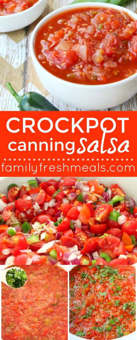 Salsa Recipe With Celery, Canned Salsa Recipe Canning, Can Salsa Recipe Canning, Freezer Preserving, Salsa Seasoning, Freezer Salsa, Salsa For Canning, Crockpot Salsa, Freezing Recipes