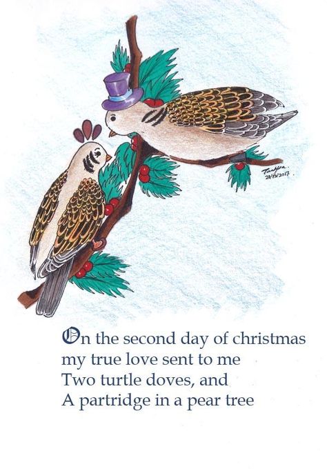 2nd day of Christmas by TashfiaS on DeviantArt 2nd Day Of Christmas, 2 Turtle Doves, Turtle Doves, Turtle Dove, Partridge, 12 Days Of Christmas, 12 Days, True Love, Deviantart