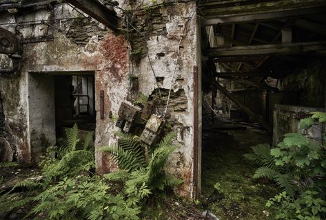 Abandoned Coffee Shop, Coffee Shop, Road