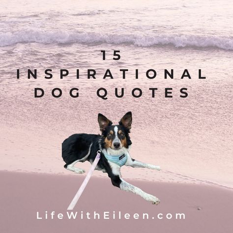 Discover heartwarming dog wisdom in our latest blog post :) From the unconditional love of dogs to their joy and loyalty, these quotes capture why dogs are truly man's best friend. Whether you're a dog owner, a dog lover, or simply in need of some inspiration, these quotes will brighten your day. Pe Therapy Dog Quotes, Dog Quotes Love Meaningful Short, Companion Quotes, Old Dog Quotes, Making Memories Quotes, Save Me Quotes, Quotes About Dogs, Swimmer Quotes, Dog Poetry