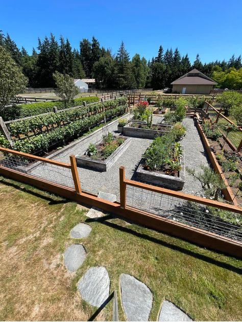 Large Food Garden, Vegetable Patch Ideas, Large Garden Design, Raised Bed Gardening, Dream Backyard Garden, Backyard Garden Layout, Gothic Garden, Farm Garden, Home Vegetable Garden