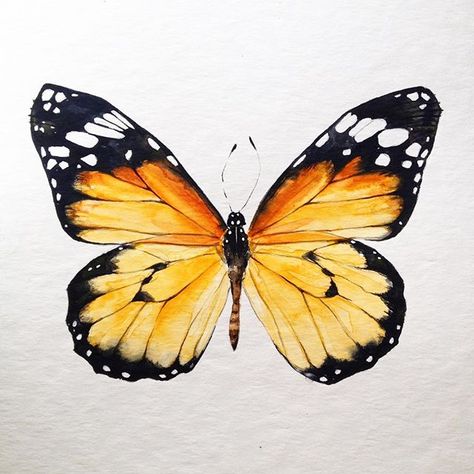 A butterfly for a lovely young girl I think will be a lot of butterflies in her baby room A Butterfly, Baby Room, Butterflies, Orange, White, Instagram, Black