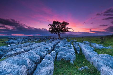 United Kingdom Castles, London England Photography, Violet Sky, Dusk Sky, Travel English, Yorkshire Dales National Park, Hawthorn Tree, Scotland Landscape, History Of England