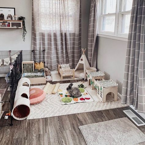 Boho Bunny Cage, Bunny Room Ideas Rabbit, Freeroam Bunny Setup, Bunny Area Ideas, Rabbit Set Up Indoor Aesthetic, Bunny Room Indoor Rabbit Play Areas, Playpen Set Up, Bunny Room Set Up, Bunny Enclosure Ideas