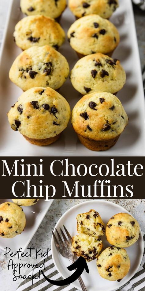 A super easy recipe for Mini Chocolate Chip Muffins. They are done, start to finish, in about 30 minutes. Mini Choc Chip Muffins, Mini Muffins Chocolate Chip, Little Debbie Mini Muffins Recipe, Little Bites Muffins Copycat, Banana Bread Mini Muffins, Chocolate Chip Mini Muffins, Mini Muffin Recipe, Choc Chip Muffins, Mini Chocolate Chip Muffins