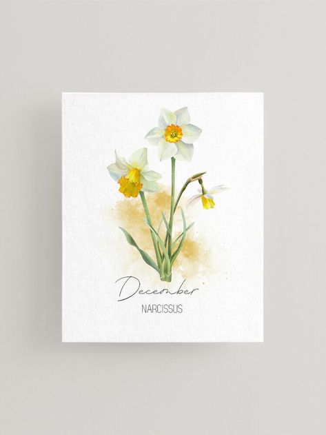 Narcissus December Birth Flower Wall Art. Beautiful watercolor illustration of the elegant Narcissus flower, the December birth flower. A perfect decoration for home or office, and a thoughtful gift for anyone born in December. Narcissus flower artwork, December wall art, birth flower decor, flower painting, winter wall art, flower art for walls, botanical wall decor, birthday gift ideas, December home decor, flower wall art aesthetic, Narcissus floral art. Flower Narcissus, December Birth Flower, Wall Decor Birthday, Narcissus Flower, Born In December, Art For Walls, Painting Winter, Botanical Wall Decor, Winter Wall Art