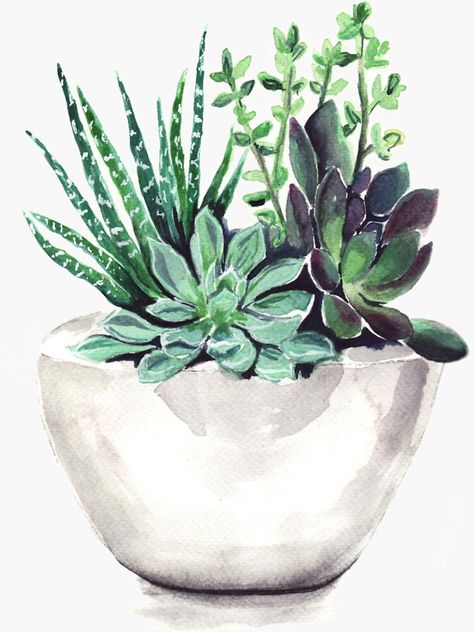 "Succulents" Sticker by bridgetdav | Redbubble Arts And Crafts Kits, Stitch Pictures, Diy Oils, Cross Stitch Pictures, Step By Step Painting, Paint By Numbers, Paint By Number Kits, Canvas Wall Decor, Succulent Pots