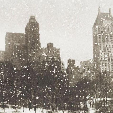 Emily B on Instagram: "Happy 1st December! Wollman Rink, Central Park, New York, 1954 by Edward Pfizenmaier #vintage #1950s #centralpark #nyc #winter" New York 50s Aesthetic, Central Park Winter Aesthetic, Winter In Nyc Aesthetic, Winter New York Aesthetic, Rye Aesthetic, Happy 1st December, 1950 Aesthetic, 1960s New York, 1950s New York