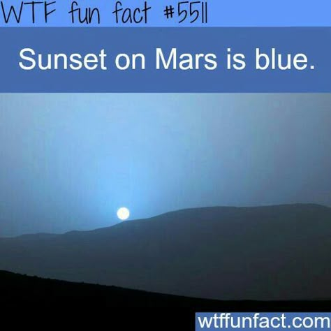 I wish I could see this for myself. Awesome! Mars Colonization, Personalidad Infj, Brian Warner, Astronomy Facts, Cool Science Facts, Space Facts, Blue Sunset, Truth Seeker, Wow Facts