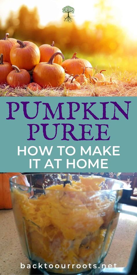 Freezing Pumpkin, Pureed Pumpkin, Pumpkin Guts, Leftover Pumpkin, Homemade Pumpkin Puree, How To Make Pumpkin, Roast Pumpkin, Homemade Pumpkin, Survival Food