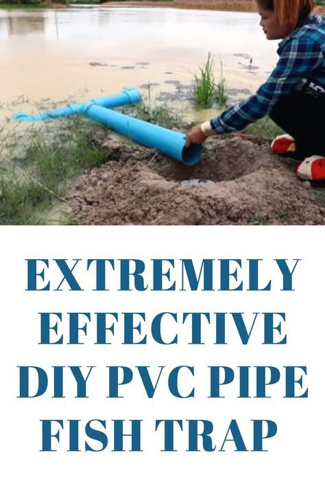 EXTREMELY EFFECTIVE DIY PVC PIPE FISH TRAP - This could be an VERY useful "set and forget" method for fishing when SHTF | Prepping | SHTF | DIY Fish Trap | How to Make a Fish Trap Prepping Ideas, Shtf Prepping, Fish Trap, Off Grid Survival, Doomsday Survival, Shtf Survival, Survival Quotes, Emergency Prepping, Disaster Preparedness