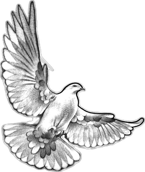 Dove Tattoo Stencil, Dove Tattoo Men, Dove Tattoo Ideas, Doves Tattoo, Tattoo Dove, Christus Tattoo, Memorial Tattoo Ideas, Tato Flash, Dove Tattoo Design