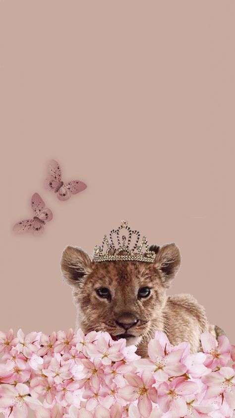 Lion Queen, Pink Lion, Cheetah Print Wallpaper, Lion Artwork, New Wallpaper Iphone, Lions Photos, Whatsapp Wallpaper Cute, Lion Wallpaper, Wild Animals Pictures