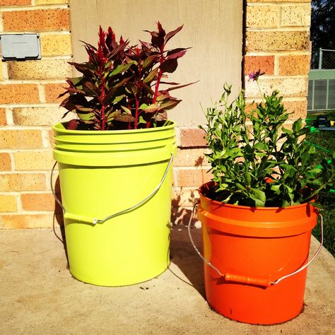 painted buckets as planters Random Painting Ideas, Plant Pot Painting, Painted Buckets, Random Painting, Bucket Planters, Planters Diy, Painted Plant Pots, Paint Buckets, Pot Painting