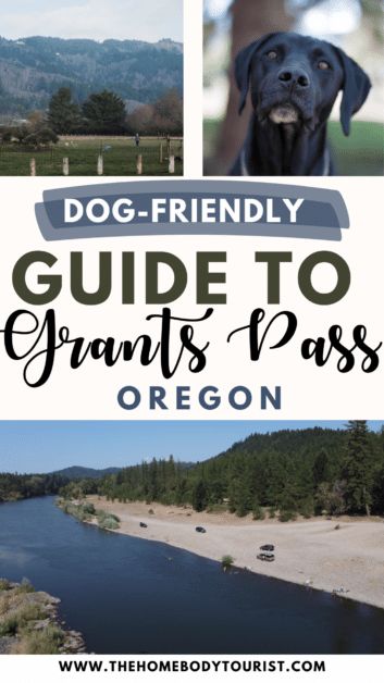 Dog-friendly guide to grants pass oregon pin for pinterest. Grants Pass Oregon, Dog Friendly Vacation, Dog Friendly Hotels, Bucket List Vacations, Sport Park, Grants Pass, Beer Company, Southern Oregon, Dog Runs