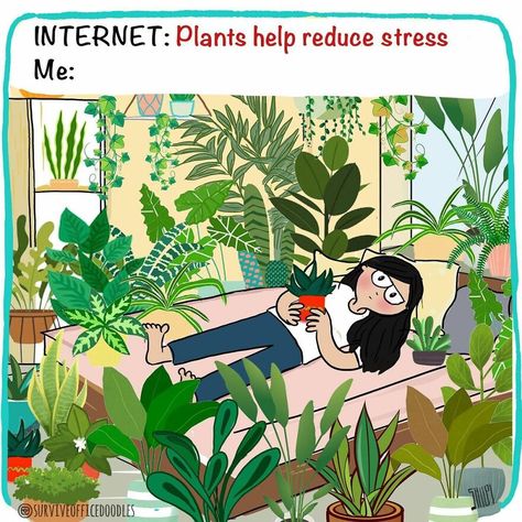 Plant Jokes, Gardening Memes, Delonix Regia, Tattoo Plant, Seed Kit, Plant Help, Indian Artist, Garden Kits, Health Inspiration