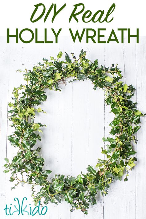 Make a Holly Christmas Wreath using real, fresh holly branches.  It's a classic Christmas decoration you can make for your front door. Fresh Holly Wreath, Real Holly Christmas Decorations, Christmas Holly Wreaths Diy, Holly Wreath Diy, Holly Wreaths, Fresh Wreaths, Fresh Christmas Wreath, Wreath For Christmas, Holly Decorations