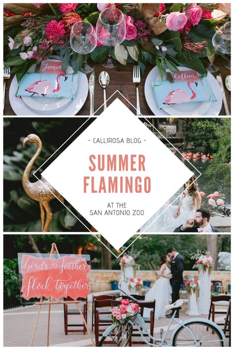 Flamingo Wedding Theme, Coral Wedding Themes, Flamingo Wedding, Summer Reception, Zoo Wedding, Urban Wedding Venue, Wedding Venue Inspiration, Wedding Inspiration Summer, Space Wedding