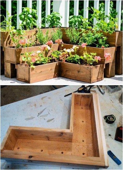 House Herb Garden, Tiered Herb Garden, Diy Herb Garden Ideas, Herb Garden Designs, Starting An Herb Garden, Vegetable Fruit Garden, Herbs Image, Pallet Planters, Mason Jar Herbs