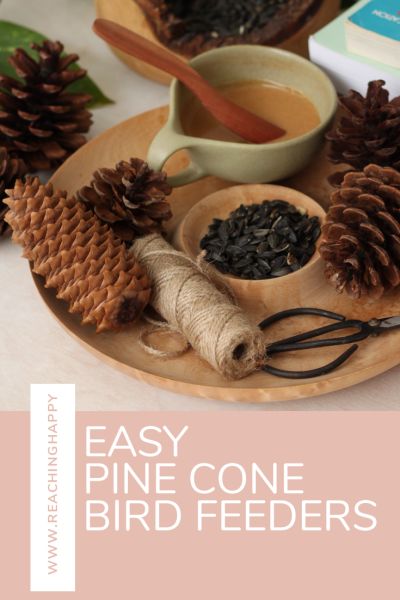 canva | Reaching Happy Pinecone Bird Feeder, Pine Cone Bird Feeder, Black Oil Sunflower Seeds, Homeschool Freebies, Organic Peanut Butter, Homeschool Encouragement, Bird Crafts, Bird Seed, Kids Learning Activities