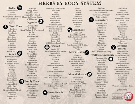 Herbal Body Map, Medicinal Herbs For Strep Throat, Herbs For Organs, Herbs For Ed, Herbs For Headache, Wound Healing Herbs, Encyclopedia Of Herbal Medicine, Herb Uses Medicine, Herbs For Hydration