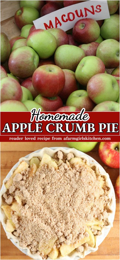 Apple pie with crumb topping on butcher block. Pie Crumble Topping, Apple Crumb Pie Recipe, Grandmas Apple Pie, Dutch Apple Pie Recipe, Apple Crumb Pie, Crumb Pie, Apple Pie Recipe Easy, Apple Crumble Pie, Homemade Pie Crust